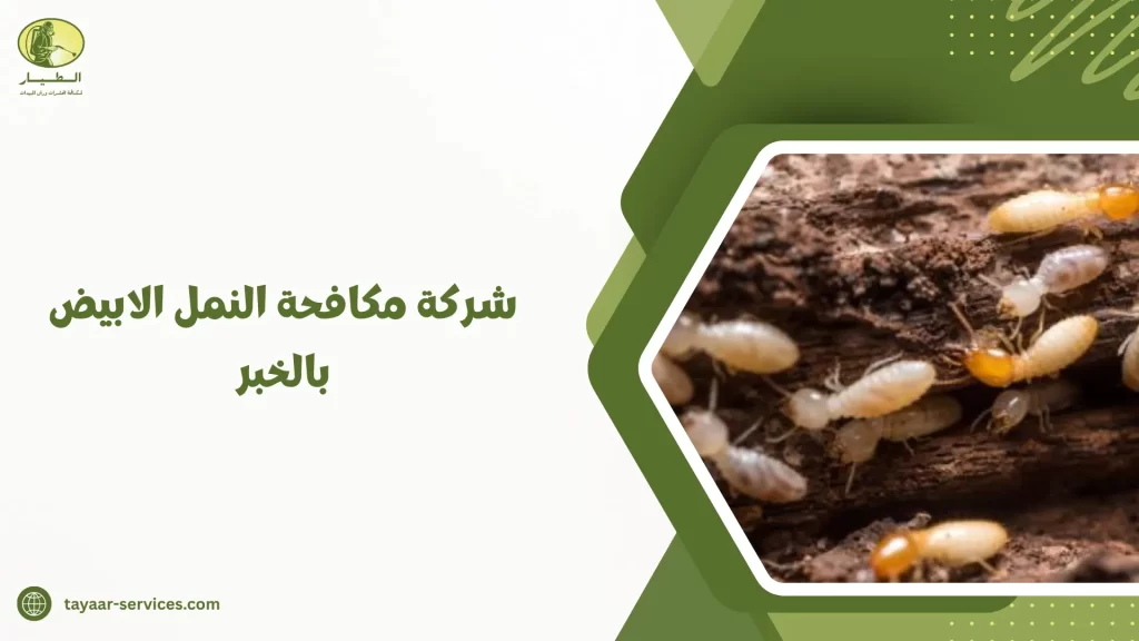 شركة مكافحة النمل الابيض بالخبر