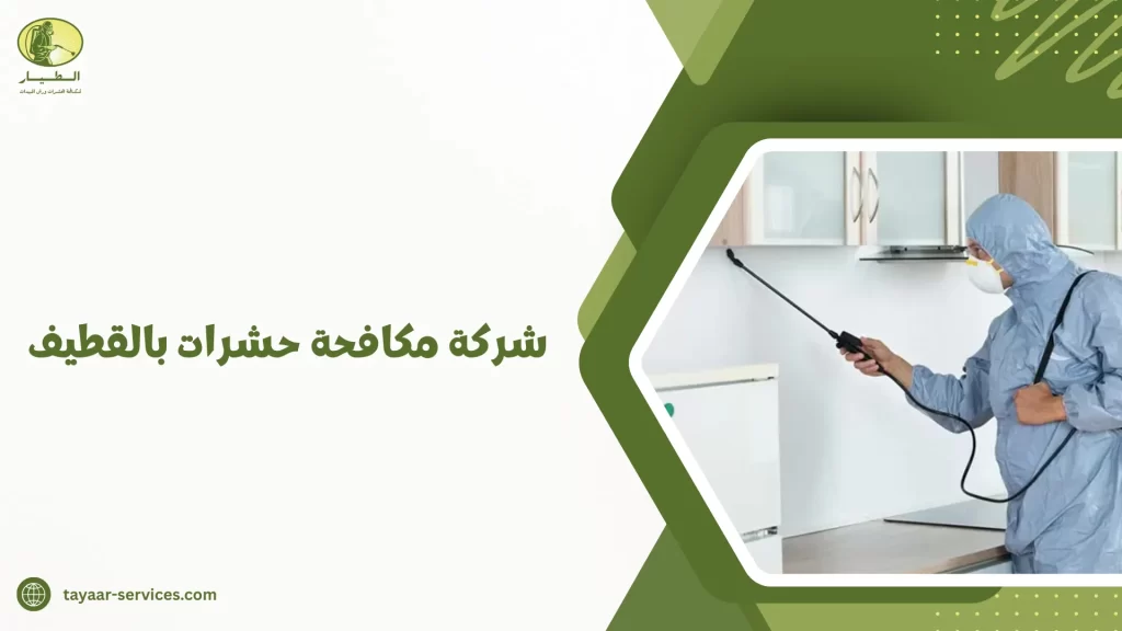 شركة مكافحة حشرات بالقطيف
