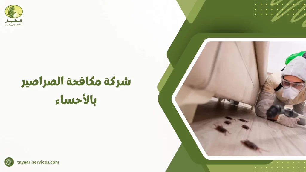 شركة مكافحة الصراصير بالأحساء