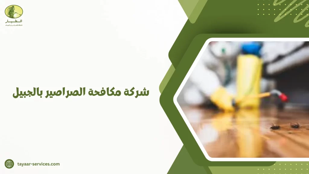 شركة مكافحة الصراصير بالجبيل