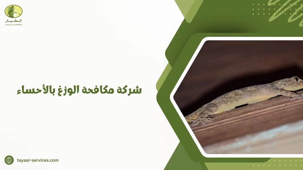 شركة مكافحة الوزغ بالأحساء
