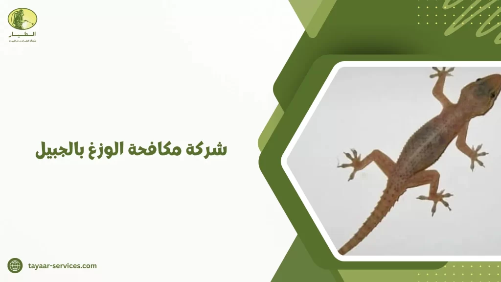 شركة مكافحة الوزغ بالجبيل