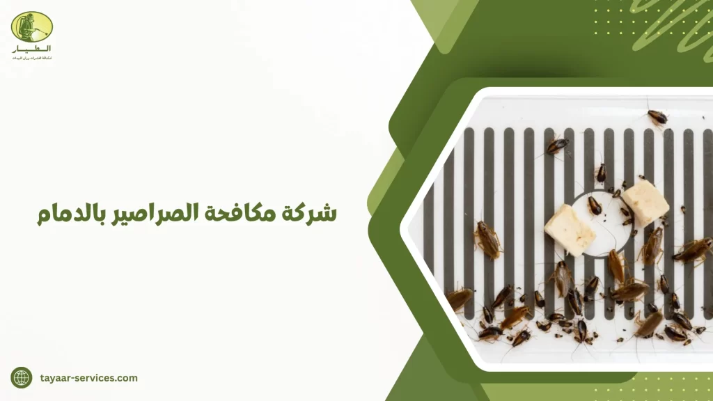 شركة مكافحة الصراصير بالدمام