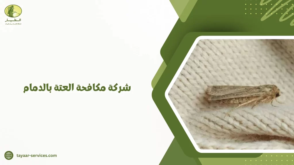شركة مكافحة العتة بالدمام