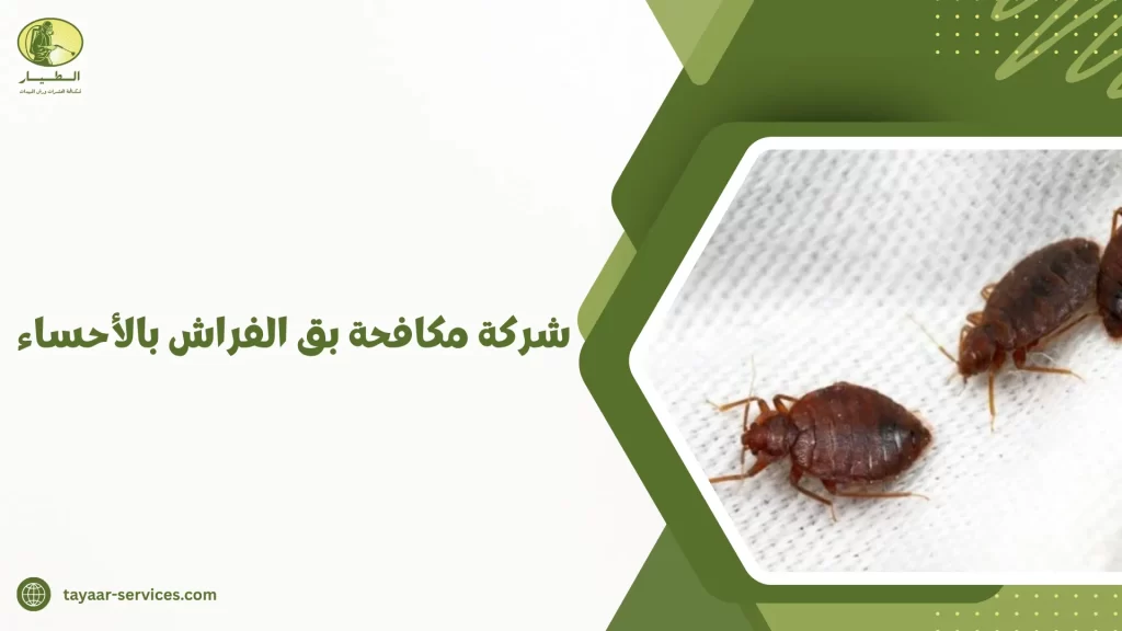 شركة مكافحة بق الفراش بالأحساء