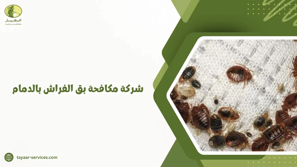 شركة مكافحة بق الفراش بالدمام