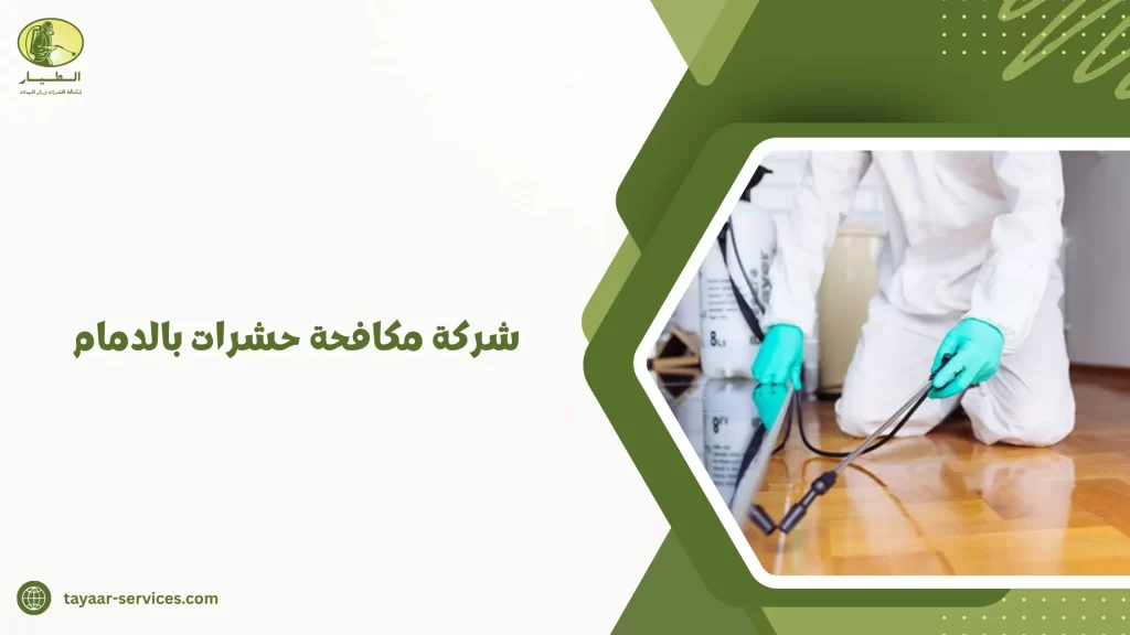 شركة مكافحة حشرات بالدمام