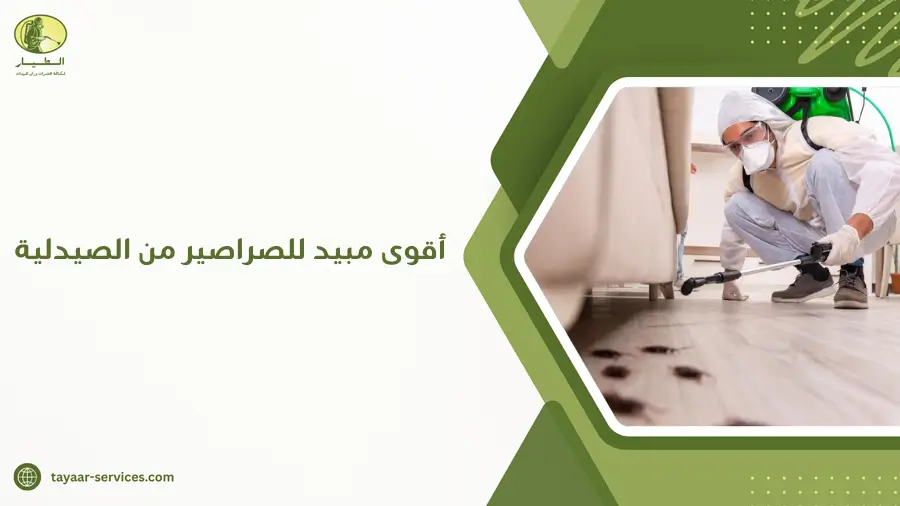 أقوى مبيد للصراصير من الصيدلية