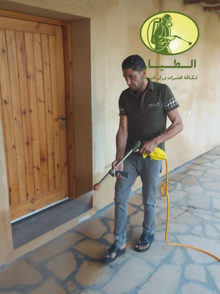 القضاء علي الحشرات