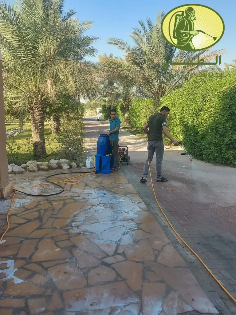 مكافحة عته الخشب