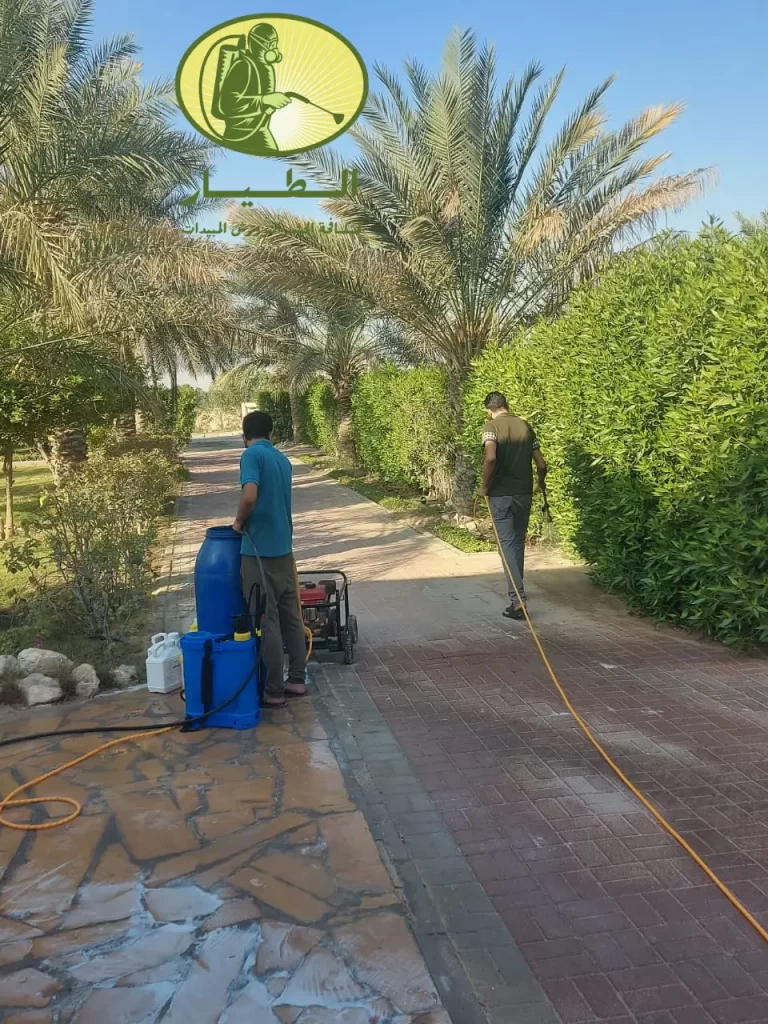 القضاء علي النمل الابيض