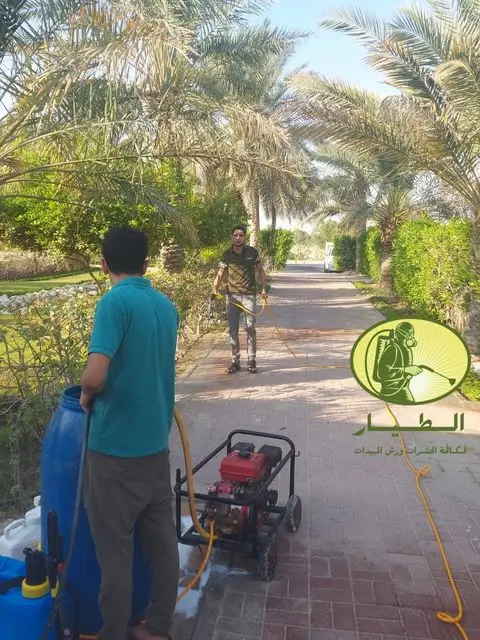 مكافحة عته الفرش