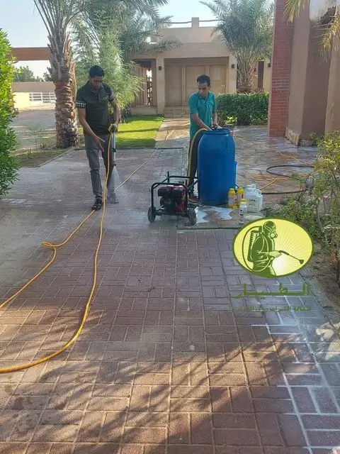 صيد الفئران