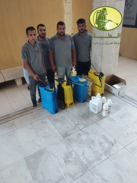 شركة تنظيف حشرات