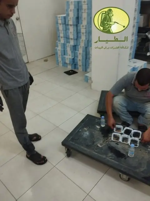 مكافحة الارضة