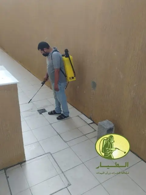 مكافحة الصراصير