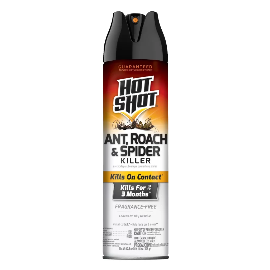 هوت شوت أند ريتش